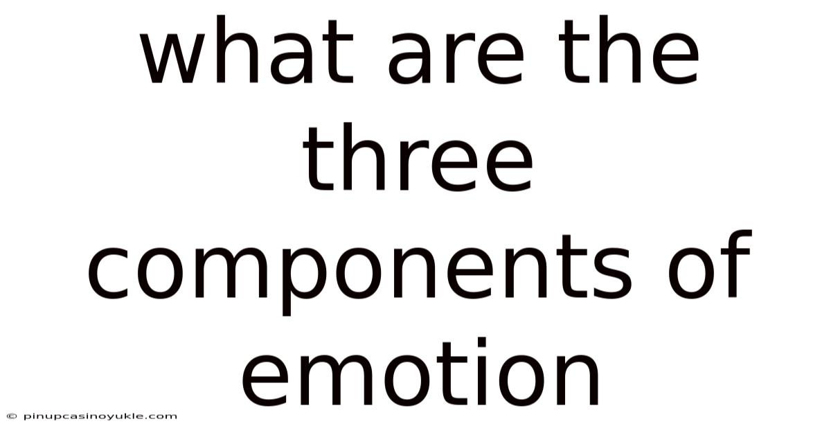 What Are The Three Components Of Emotion