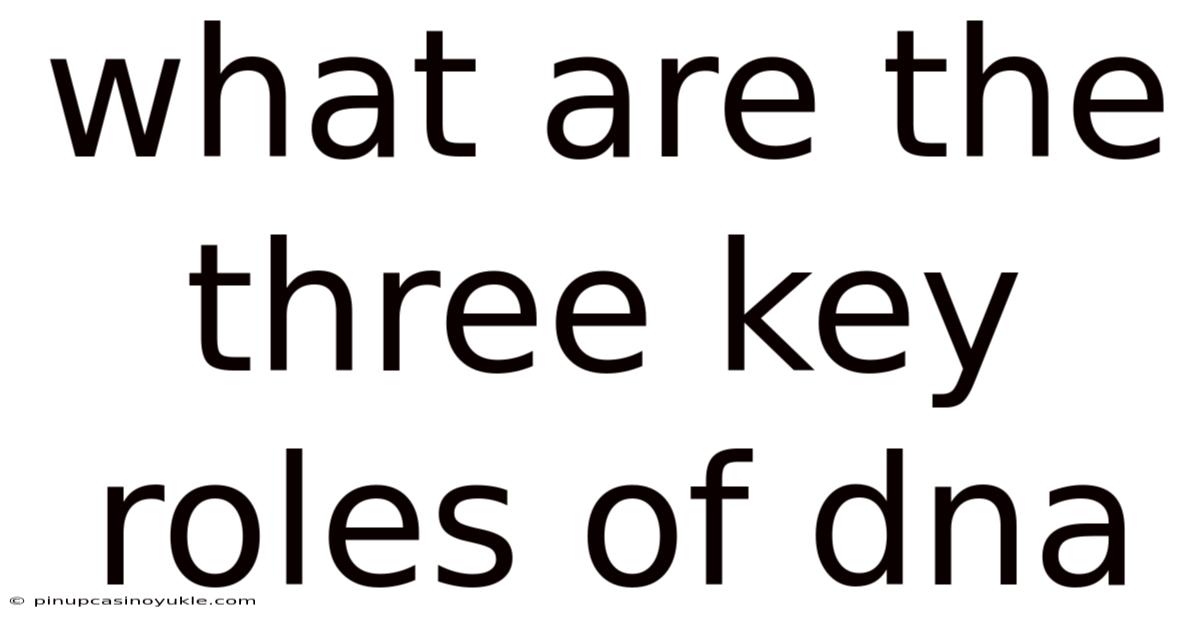 What Are The Three Key Roles Of Dna