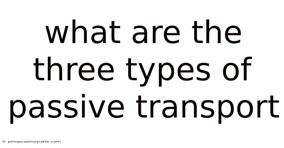 What Are The Three Types Of Passive Transport