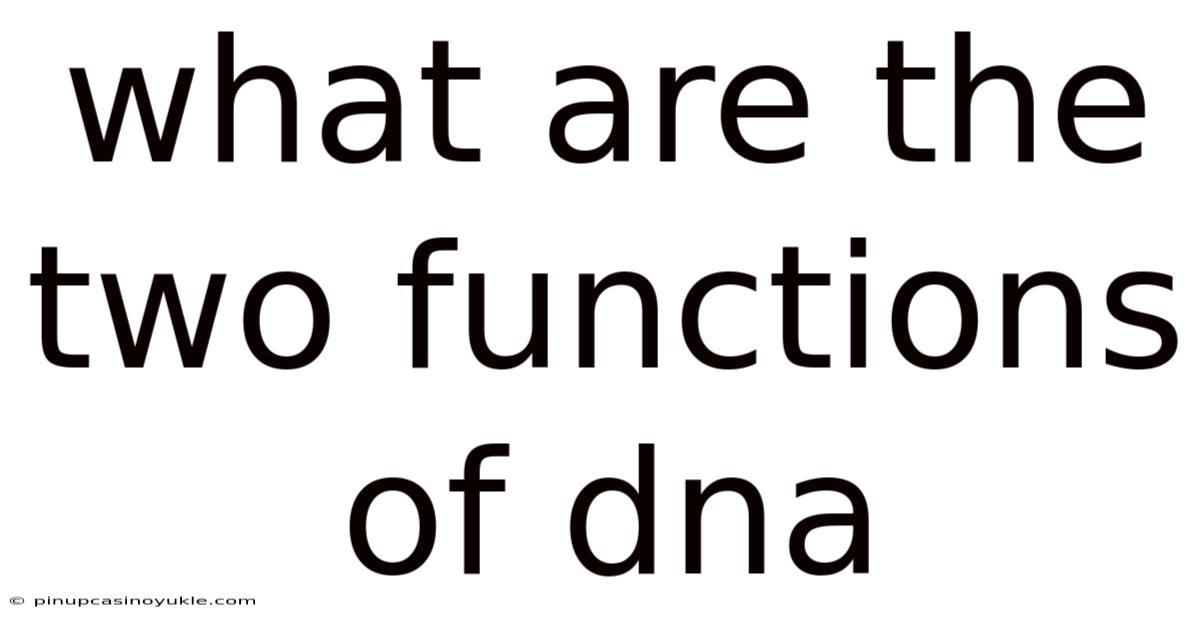 What Are The Two Functions Of Dna