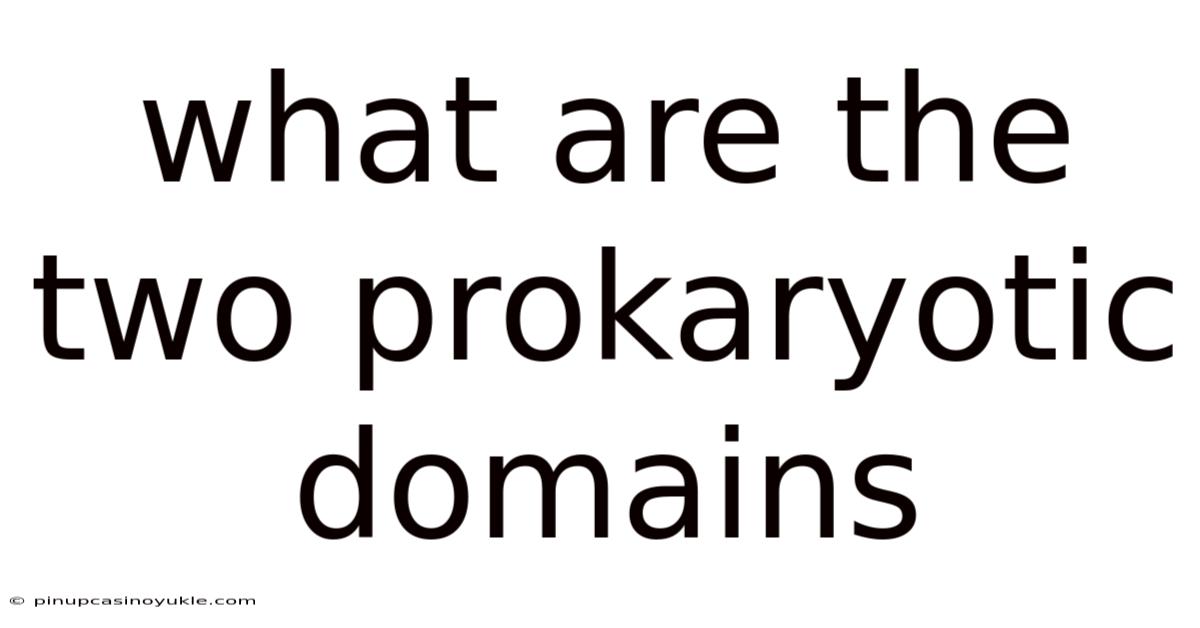 What Are The Two Prokaryotic Domains