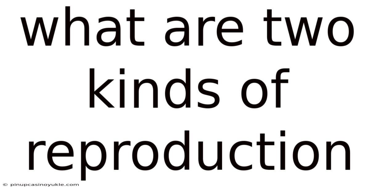 What Are Two Kinds Of Reproduction