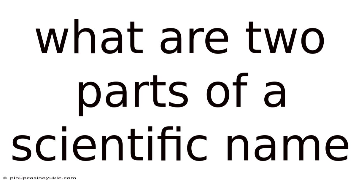 What Are Two Parts Of A Scientific Name