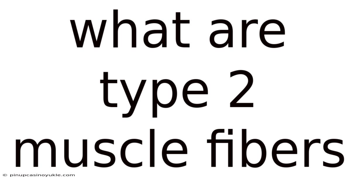 What Are Type 2 Muscle Fibers