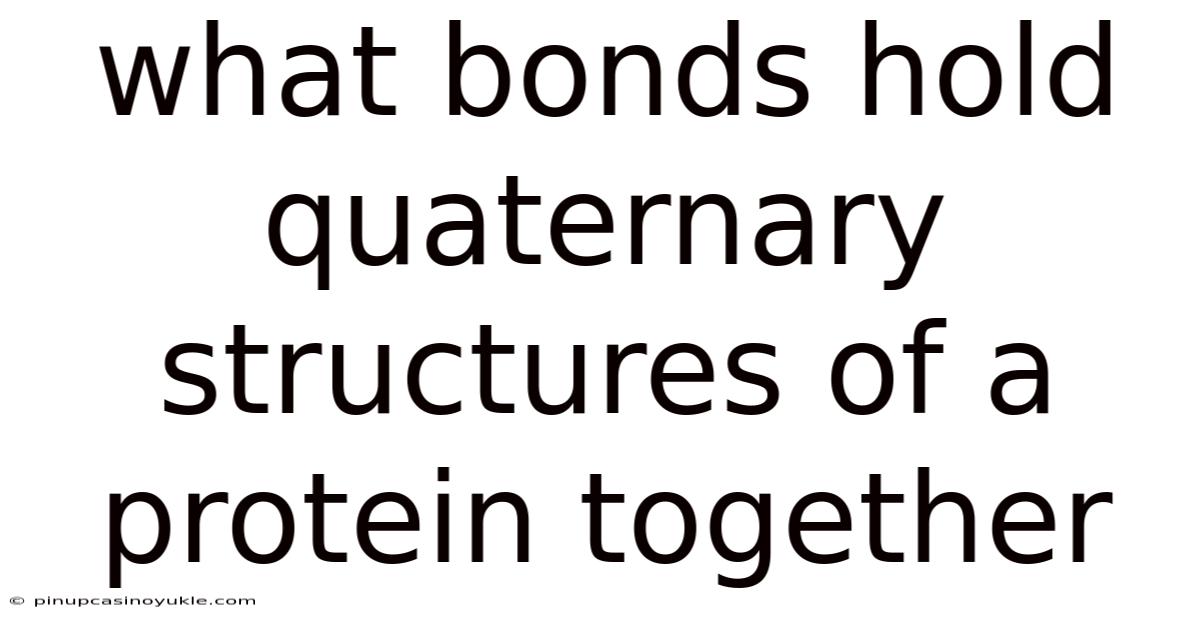 What Bonds Hold Quaternary Structures Of A Protein Together
