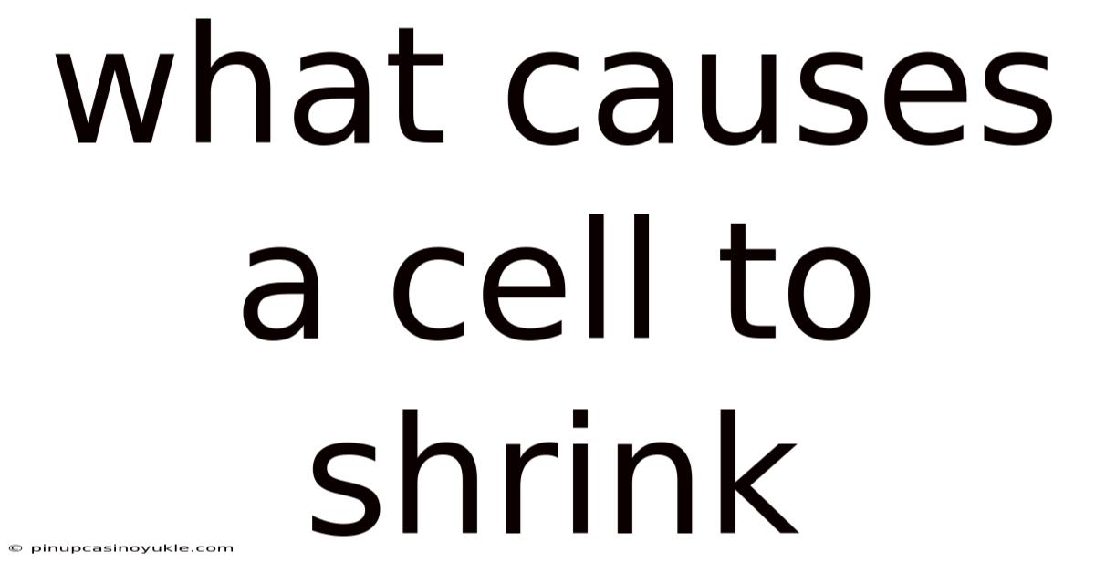 What Causes A Cell To Shrink
