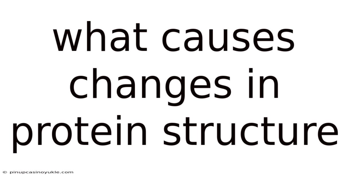 What Causes Changes In Protein Structure