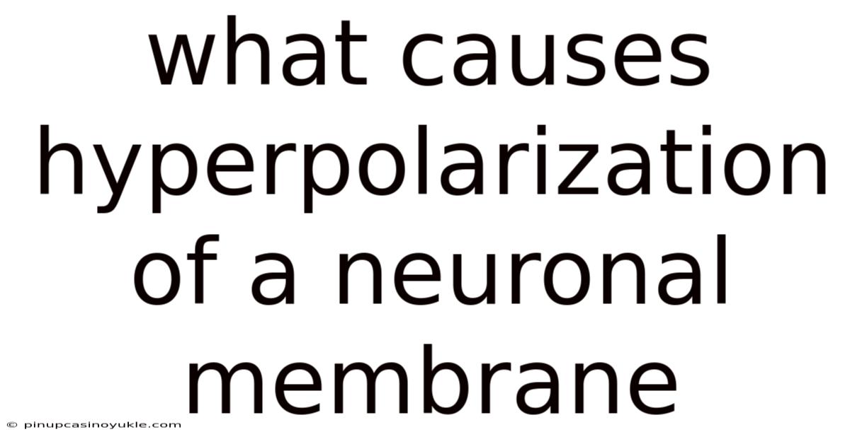 What Causes Hyperpolarization Of A Neuronal Membrane
