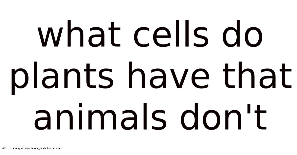What Cells Do Plants Have That Animals Don't