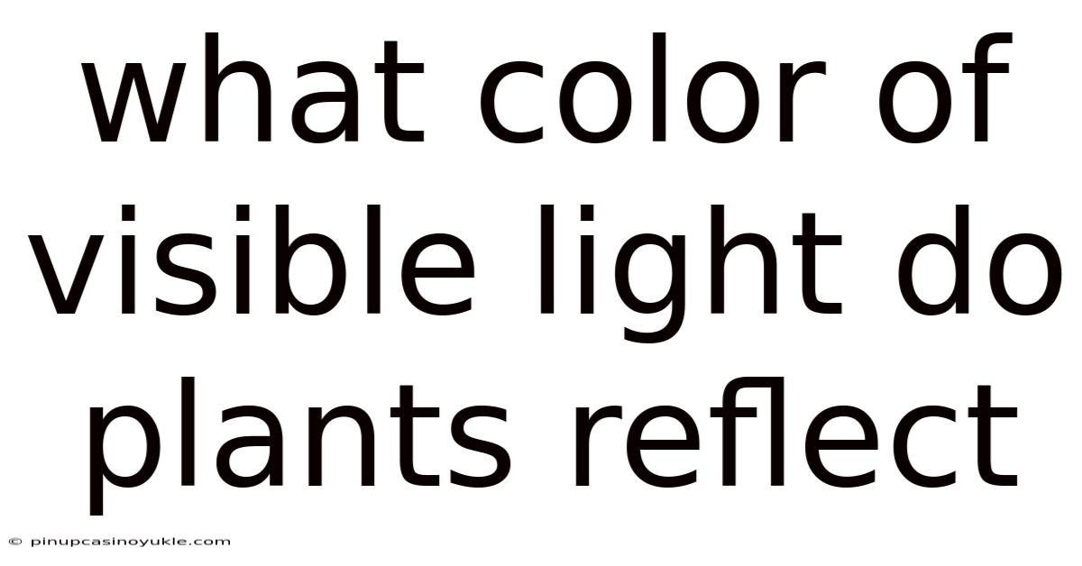 What Color Of Visible Light Do Plants Reflect