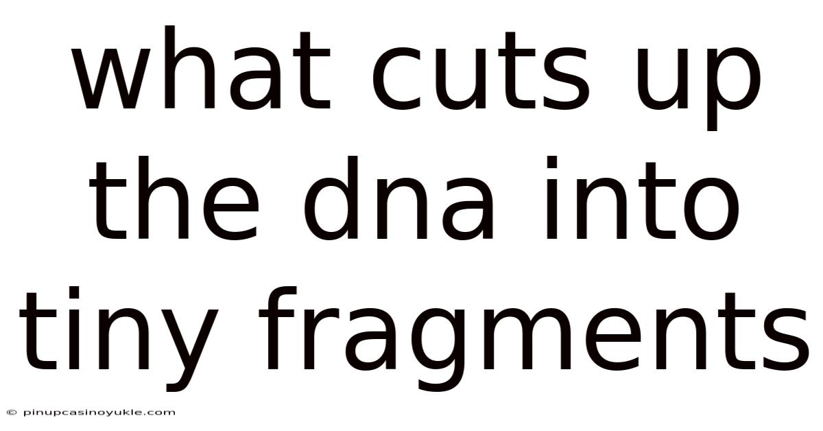 What Cuts Up The Dna Into Tiny Fragments