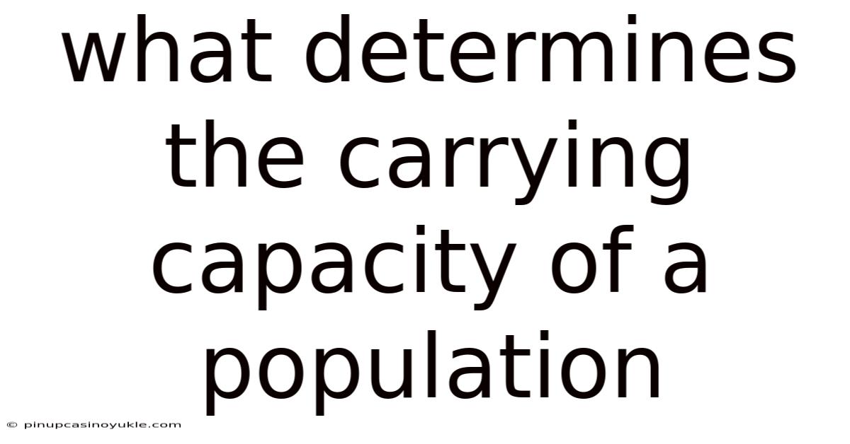 What Determines The Carrying Capacity Of A Population