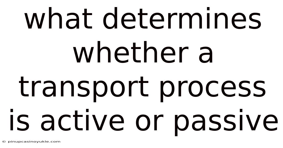 What Determines Whether A Transport Process Is Active Or Passive