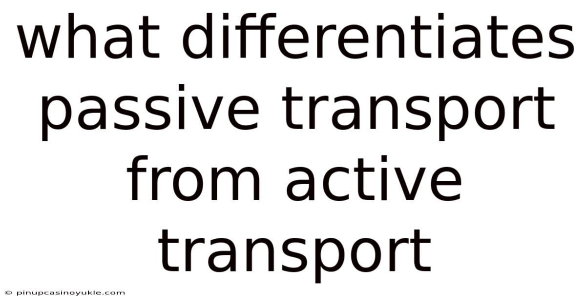 What Differentiates Passive Transport From Active Transport
