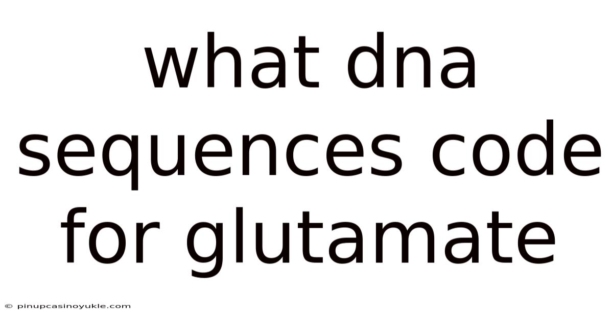 What Dna Sequences Code For Glutamate