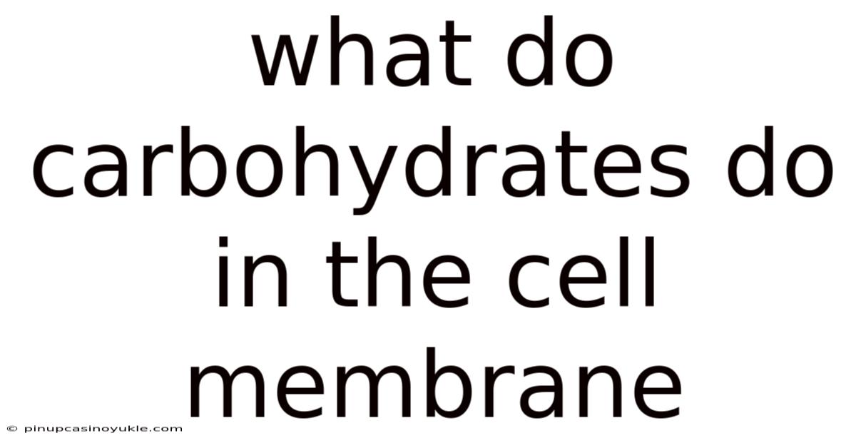 What Do Carbohydrates Do In The Cell Membrane