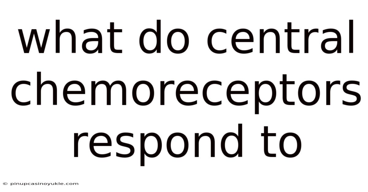 What Do Central Chemoreceptors Respond To