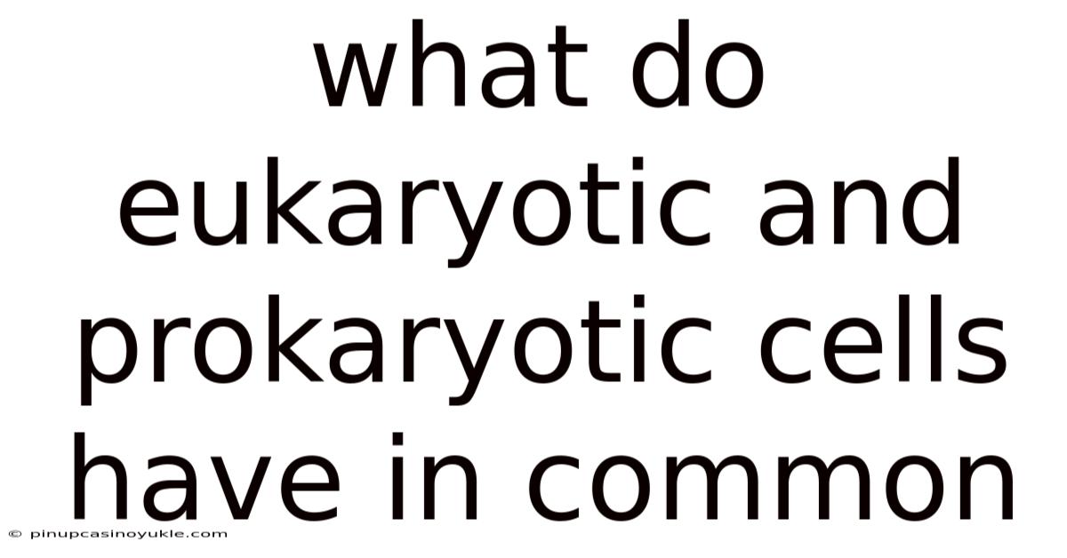 What Do Eukaryotic And Prokaryotic Cells Have In Common