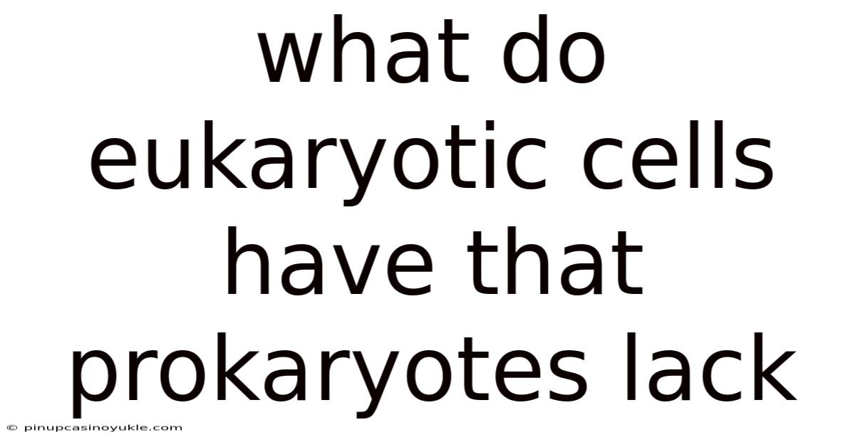 What Do Eukaryotic Cells Have That Prokaryotes Lack