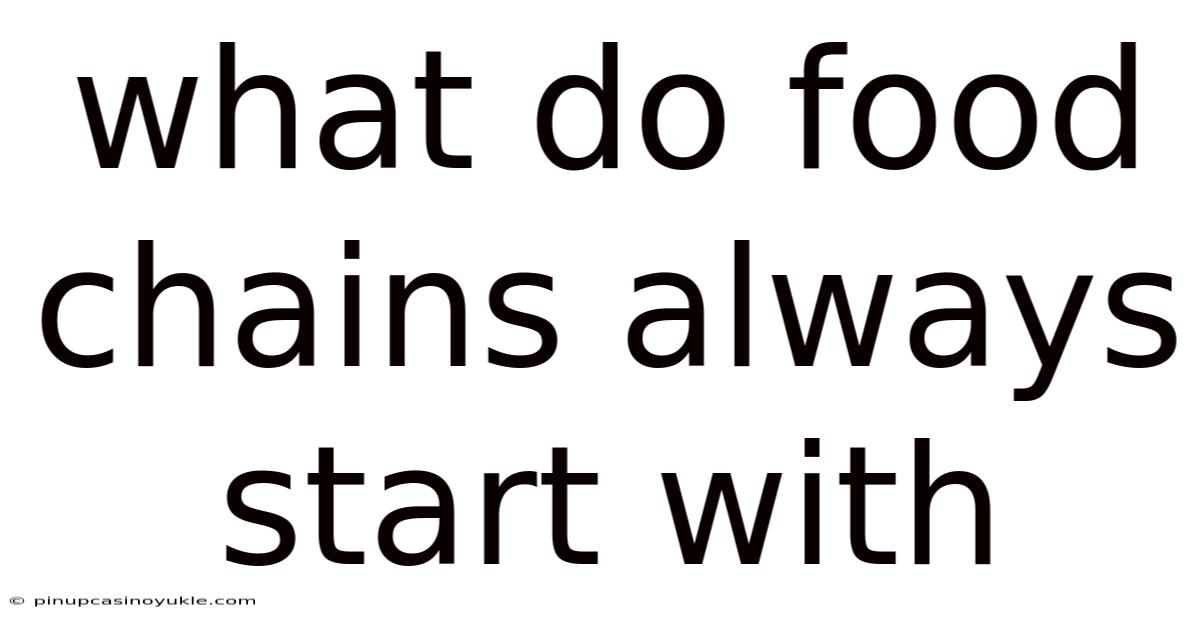 What Do Food Chains Always Start With