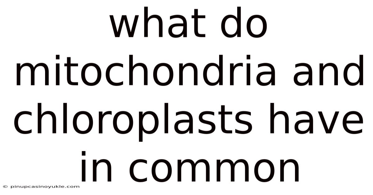 What Do Mitochondria And Chloroplasts Have In Common