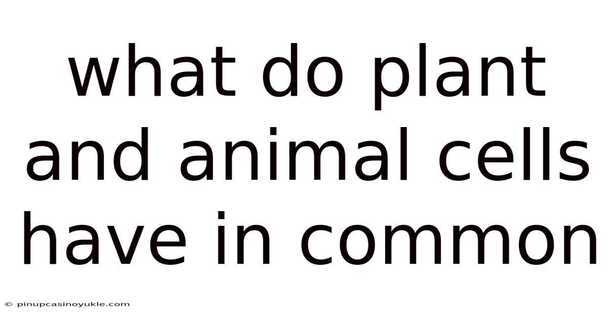 What Do Plant And Animal Cells Have In Common