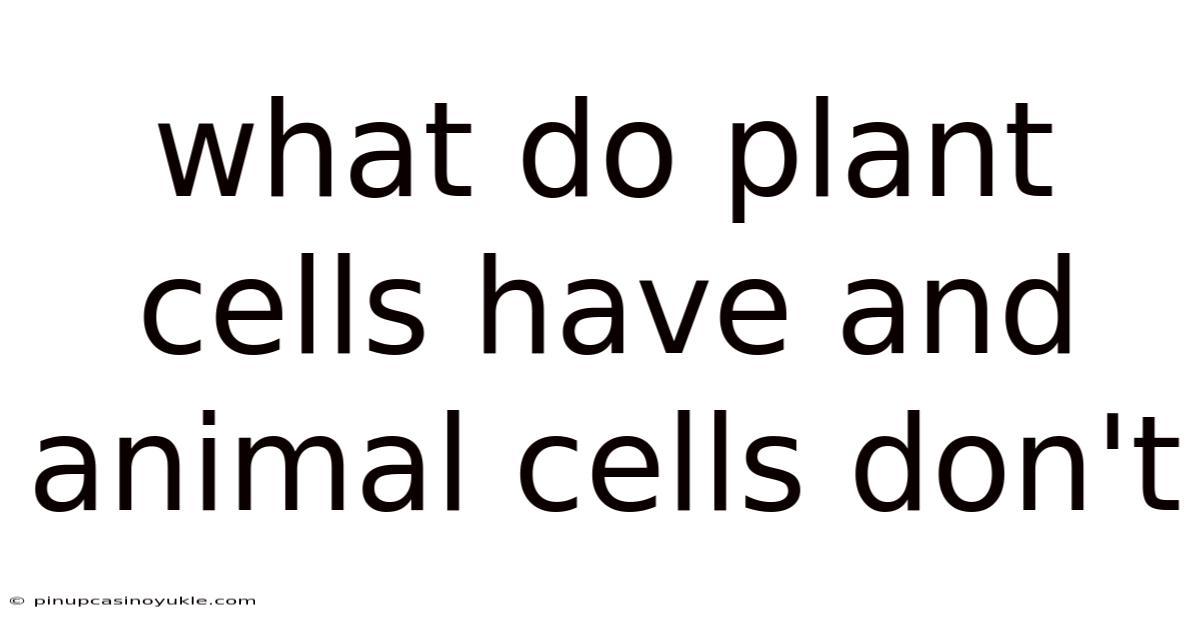 What Do Plant Cells Have And Animal Cells Don't