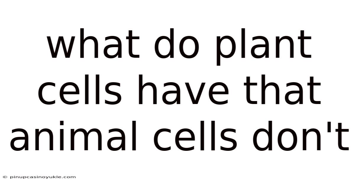 What Do Plant Cells Have That Animal Cells Don't