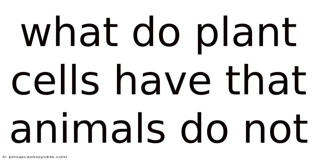 What Do Plant Cells Have That Animals Do Not