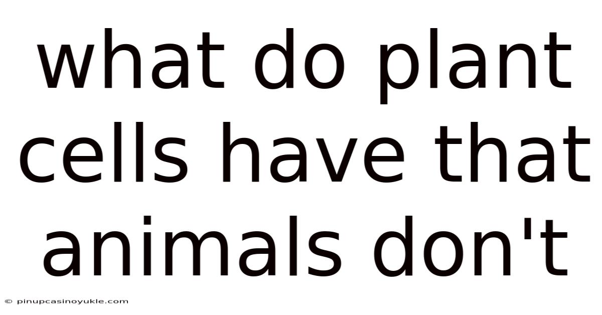 What Do Plant Cells Have That Animals Don't