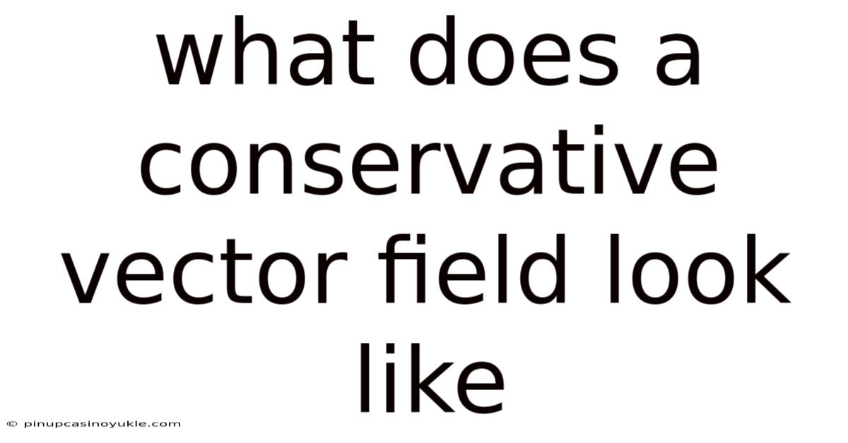 What Does A Conservative Vector Field Look Like
