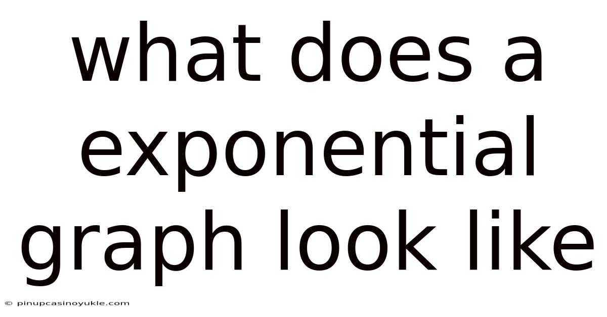 What Does A Exponential Graph Look Like