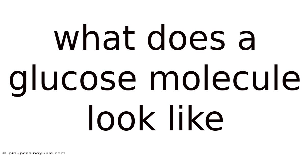 What Does A Glucose Molecule Look Like