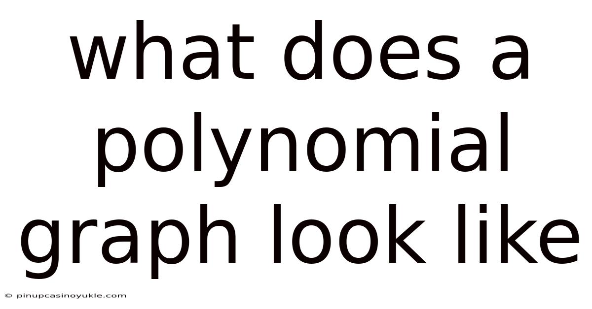 What Does A Polynomial Graph Look Like