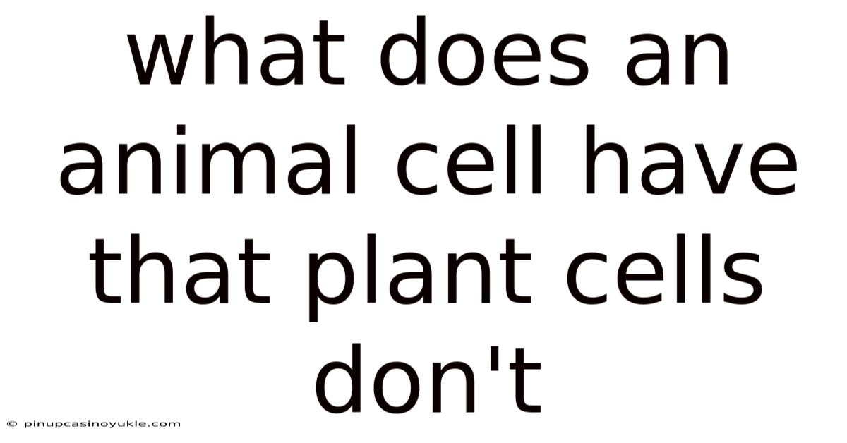 What Does An Animal Cell Have That Plant Cells Don't