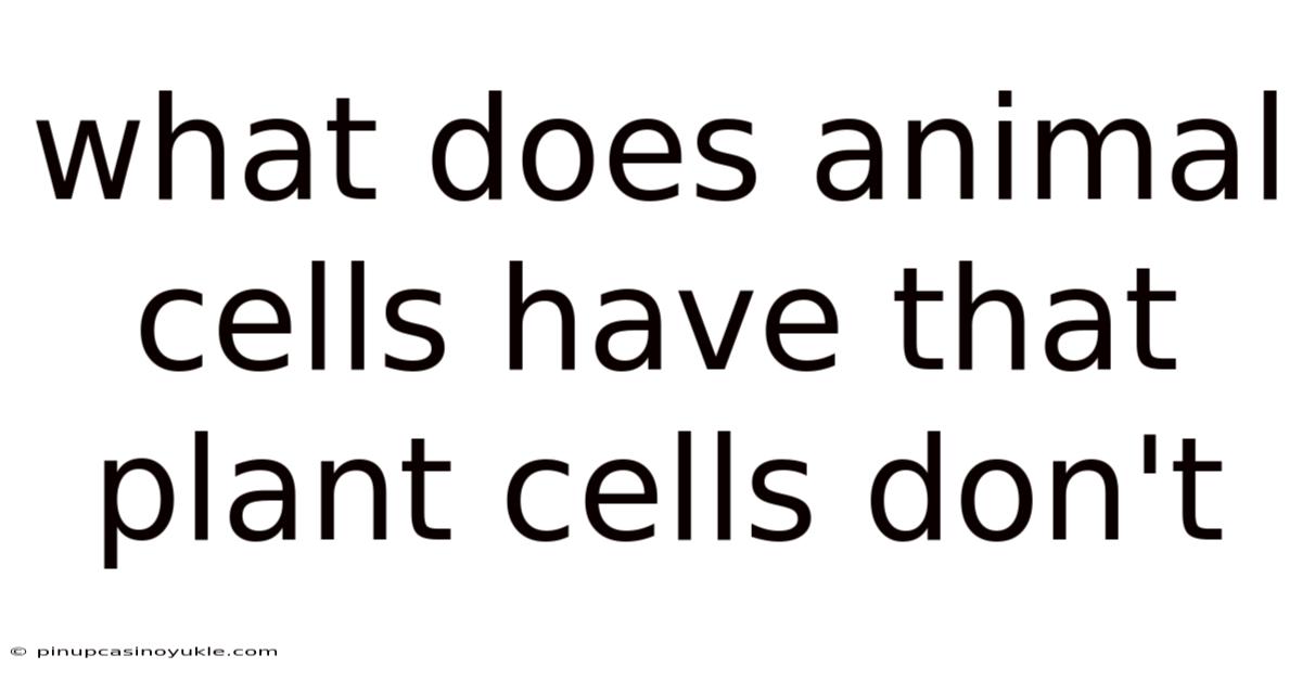 What Does Animal Cells Have That Plant Cells Don't