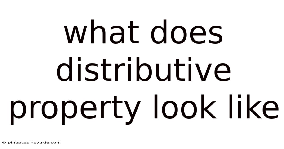 What Does Distributive Property Look Like