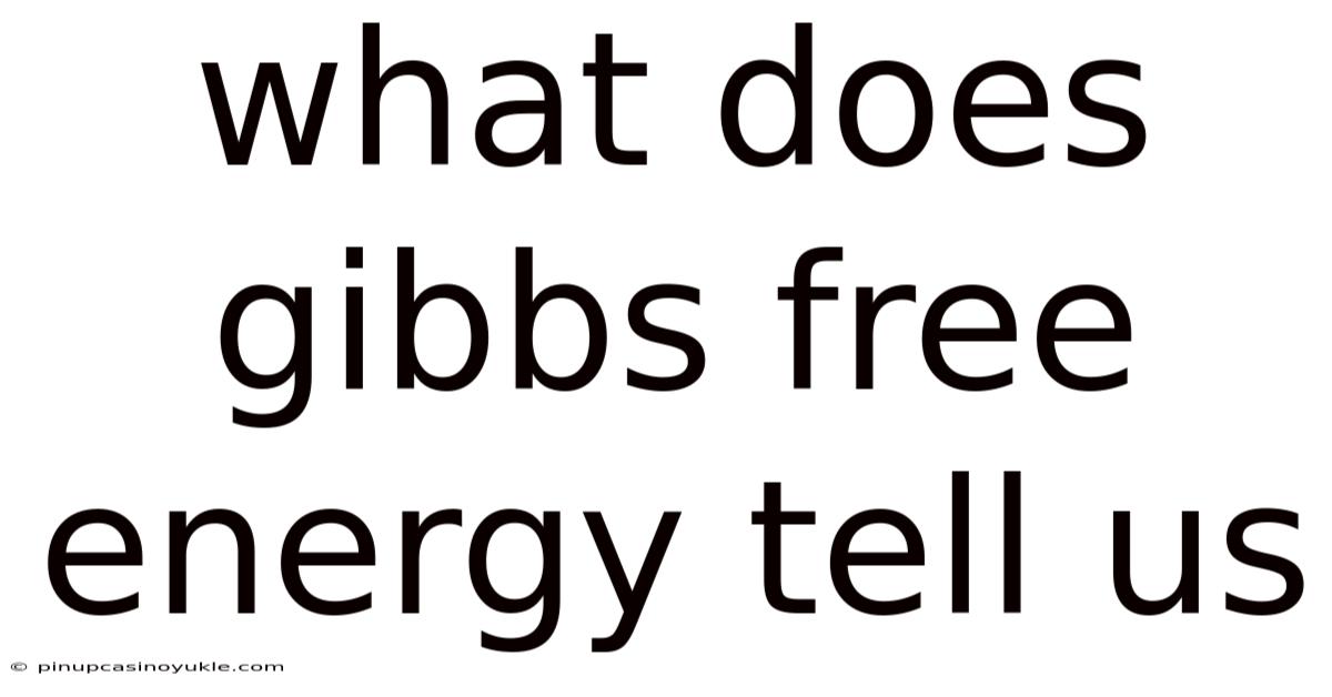 What Does Gibbs Free Energy Tell Us