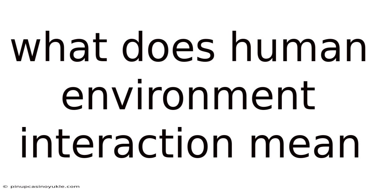 What Does Human Environment Interaction Mean