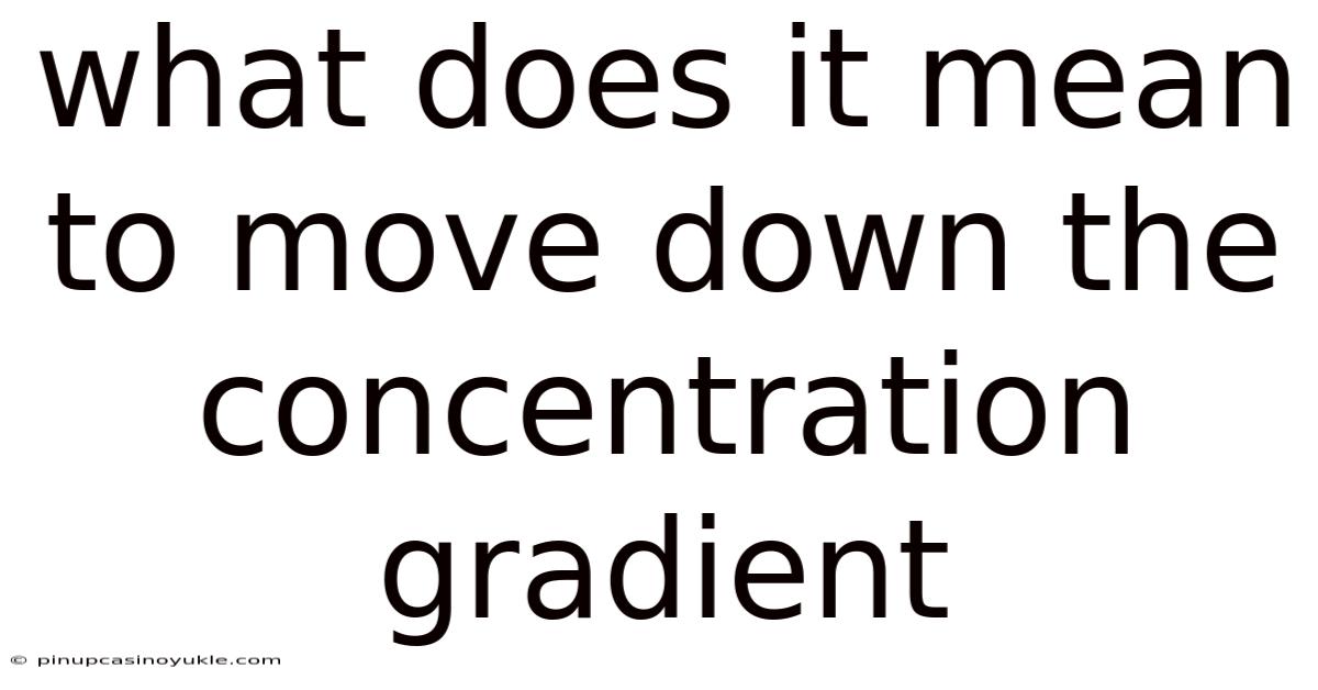 What Does It Mean To Move Down The Concentration Gradient