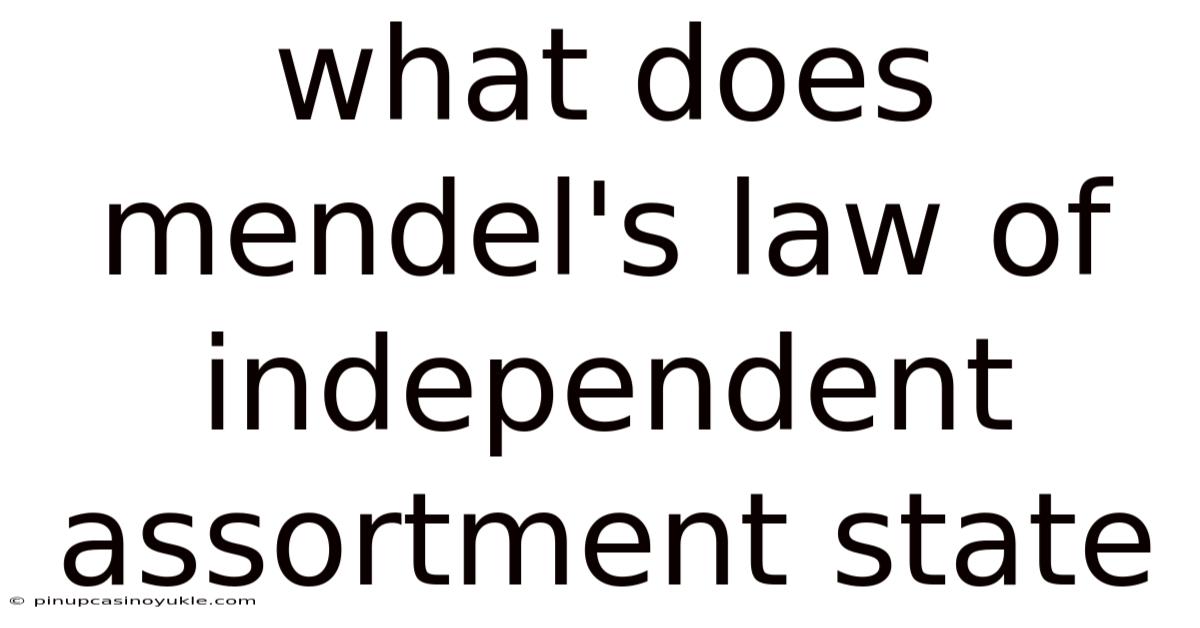 What Does Mendel's Law Of Independent Assortment State