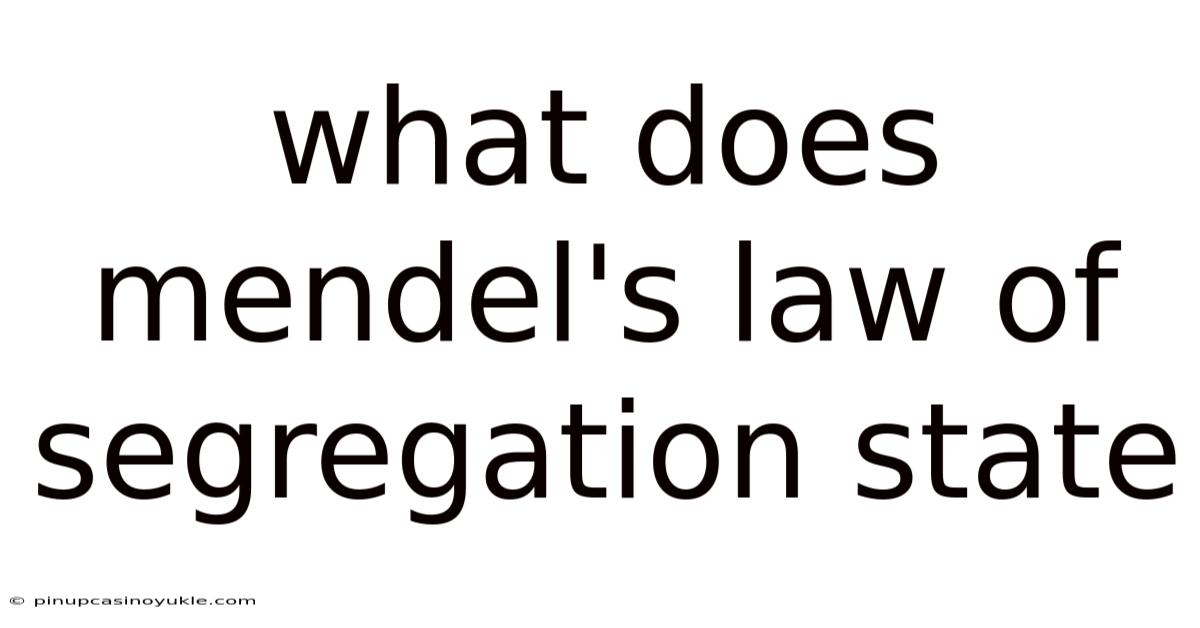 What Does Mendel's Law Of Segregation State