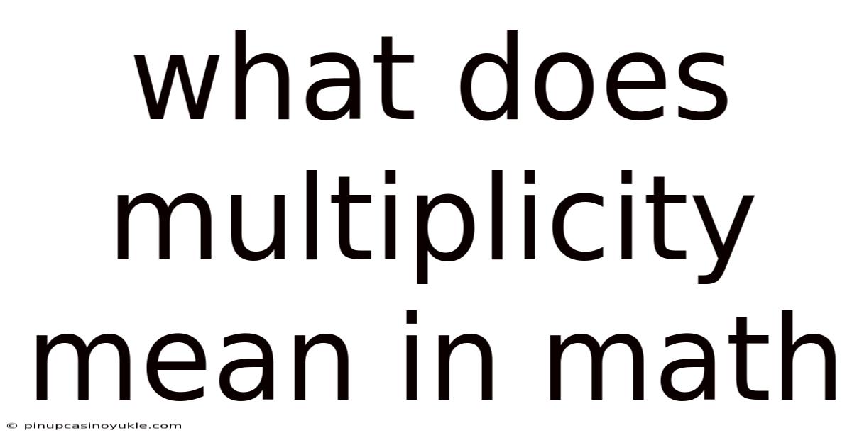 What Does Multiplicity Mean In Math