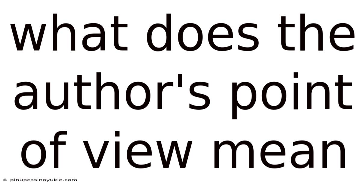 What Does The Author's Point Of View Mean