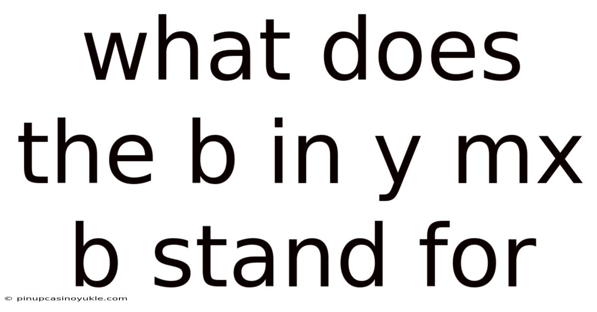 What Does The B In Y Mx B Stand For