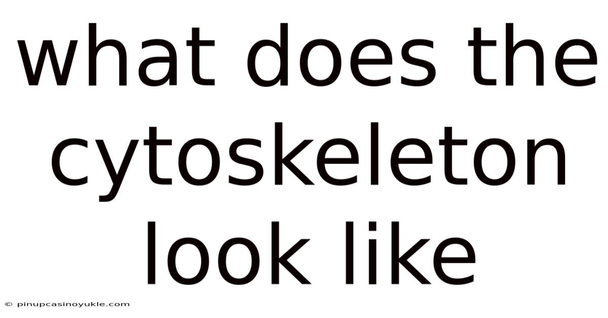 What Does The Cytoskeleton Look Like