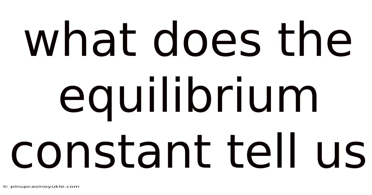What Does The Equilibrium Constant Tell Us