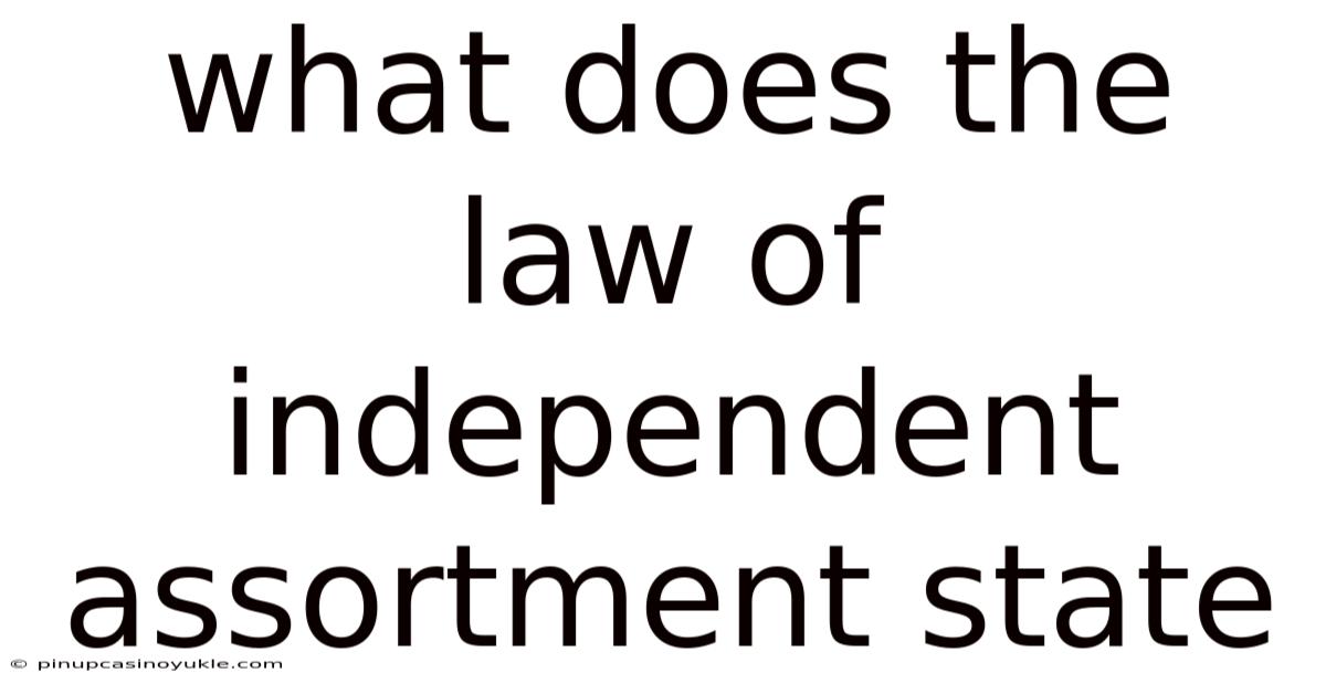 What Does The Law Of Independent Assortment State