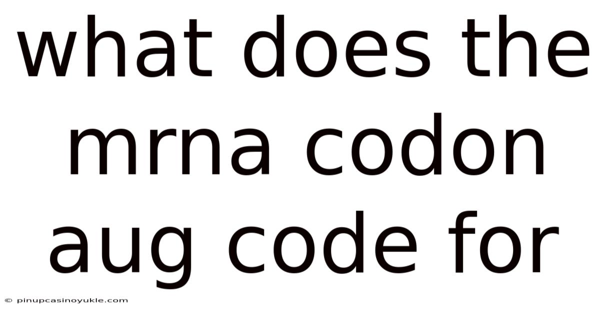 What Does The Mrna Codon Aug Code For