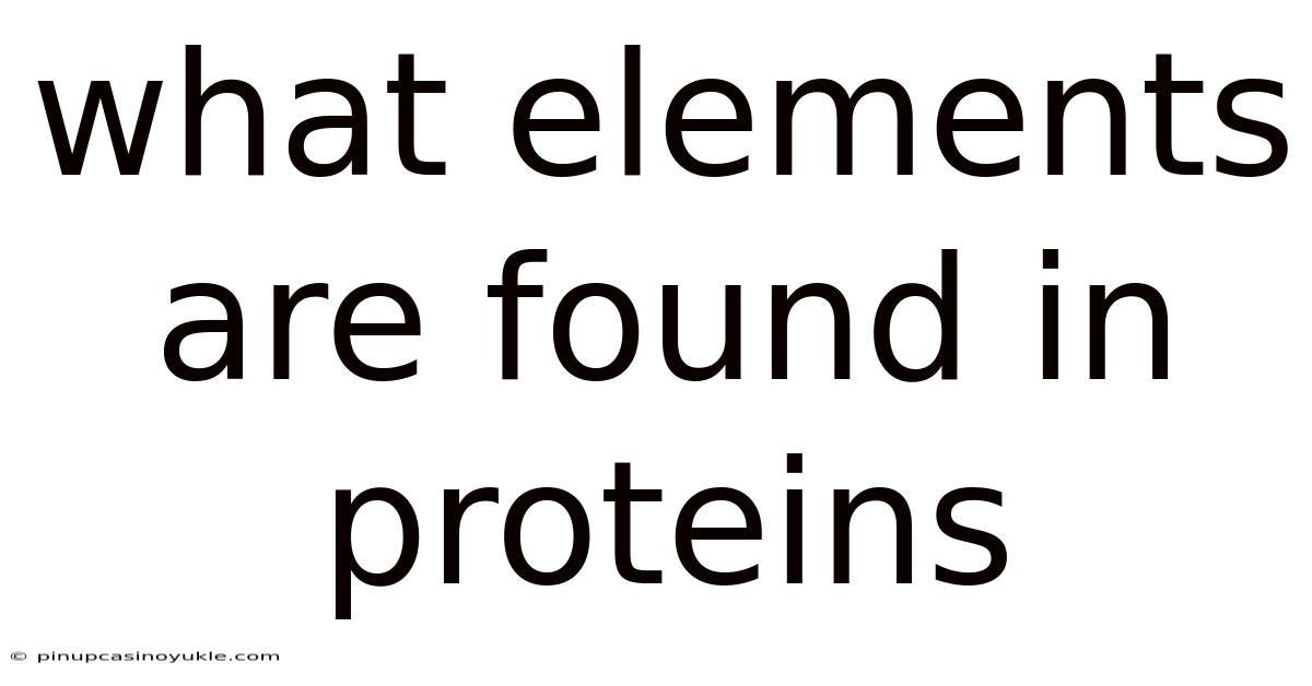 What Elements Are Found In Proteins